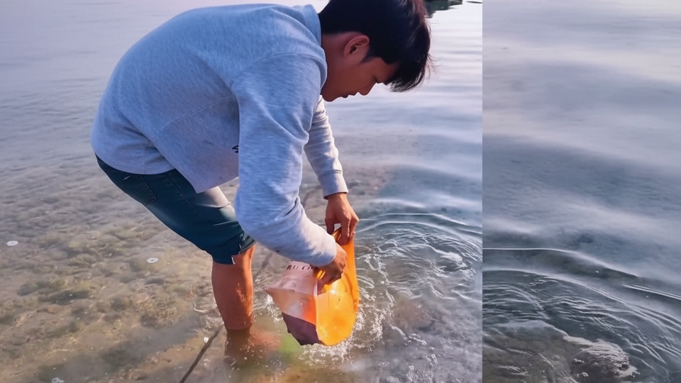 ベトナム巨大巻貝の謎!手入れの秘密大公開🐚